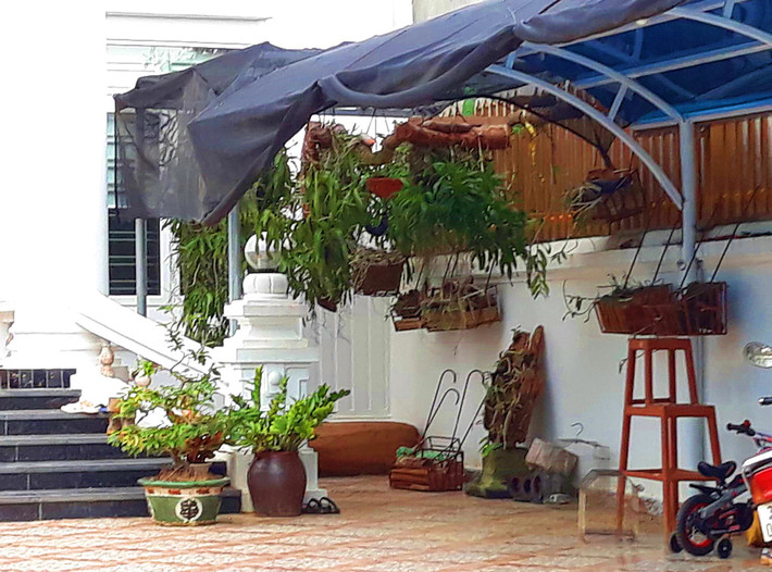 Trong đó có hoa lan và nhiều loại cây cảnh khác.