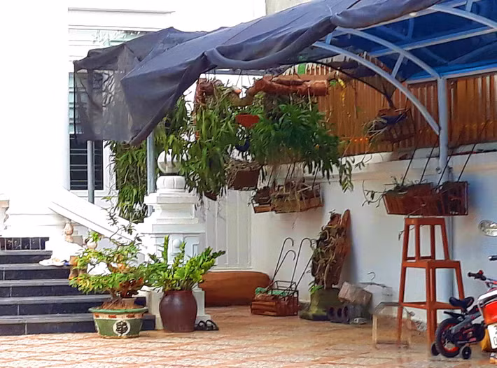 Trong đó có hoa lan và nhiều loại cây cảnh khác.