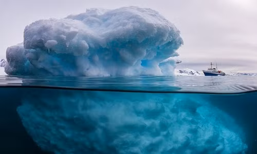 Vẻ đẹp ẩn giấu bên dưới mặt nước