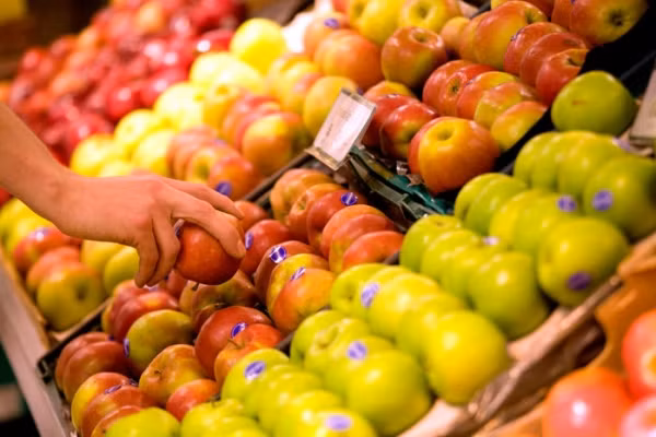 Các quả táo tươi mọng bày bán trong siêu thị thực chất đã được thu hoạch từ khoảng 5 - 6 tháng trước đó. Chúng được bảo quản trong tủ lạnh đặc biệt với oxy ở mức cực thấp để tránh hỏng hóc