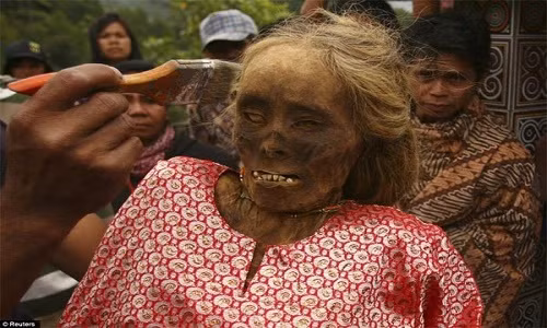 Đây là nghi thức, tập tục mai táng kỳ lạ có từ lâu đời của bộ tộc Toraja tỉnh Nam Sulawesi, Indonesia. Người Toraja bị cô lập và dường như tách biệt với thế giới bên ngoài từ xa xưa bởi những tin đồn về ma thuật thần kỳ, làm cho xác chết đi đứng bình thường.
