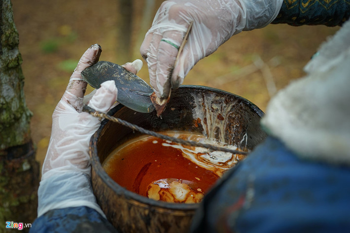 Sơn được sử dụng là nhựa cây sơn được trồng ở Phú Thọ mang về đây.