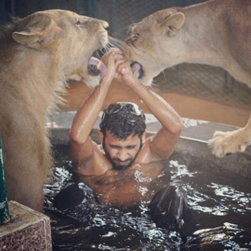 Một công tử UAE với sở thích tắm cùng sư tử. Ảnh: DM.