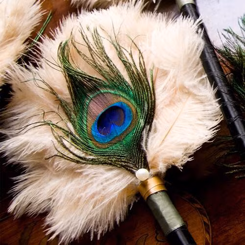 Chiếc lông công với họa tiết lạ mắt cùng màu sắc sặc sỡ thu hút nhiều chị em. Ảnh: Lông công Ấn Độ.