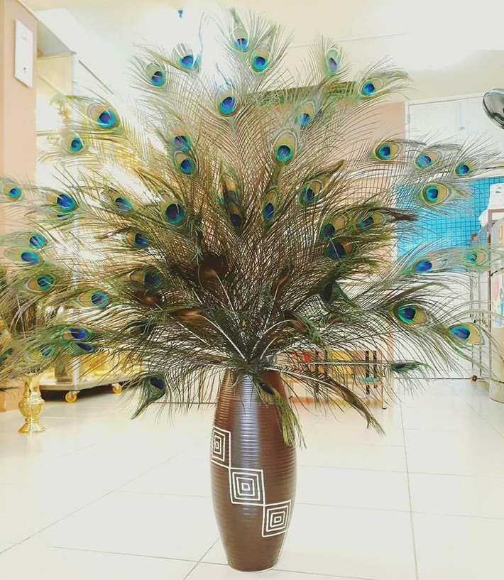 Vì vậy, muốn có một bình lông công lạ mắt trang trí nhà, khách phải bỏ ra vài trăm nghìn đồng. Ảnh: Lông công Ấn Độ.