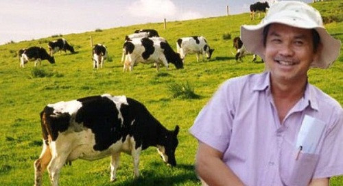 Đến năm 2016, HAGL nâng tổng số đàn bò lên khoảng 250.000 con. Ảnh: DSPL.