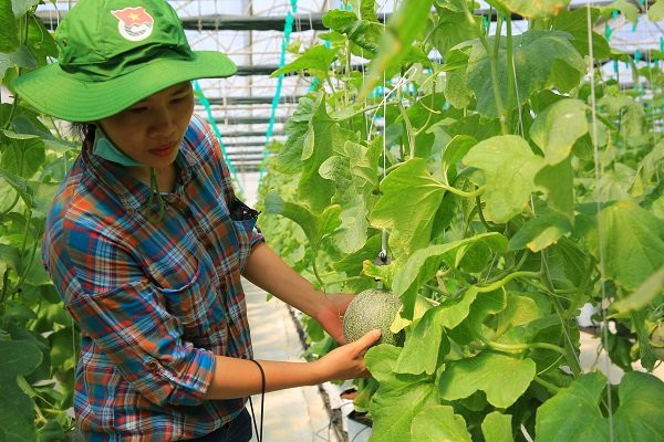 Để giảm thiểu mức độ lan truyền ô nhiễm trong nguồn nước Công ty Môi trường đô thị TPHCM đã thường xuyên thực hiện hút nước rỉ rác phát sinh từ bãi rác và chuyển vào hệ thống xử lý nước thải. Toàn bộ nước thải được xử lý luôn đảm bảo đạt quy định về tiêu chuẩn môi trường do Bộ Tài nguyên và Môi trường ban hành trước khi đưa ra môi trường.