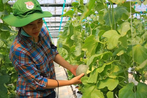 Để giảm thiểu mức độ lan truyền ô nhiễm trong nguồn nước Công ty Môi trường đô thị TPHCM đã thường xuyên thực hiện hút nước rỉ rác phát sinh từ bãi rác và chuyển vào hệ thống xử lý nước thải. Toàn bộ nước thải được xử lý luôn đảm bảo đạt quy định về tiêu chuẩn môi trường do Bộ Tài nguyên và Môi trường ban hành trước khi đưa ra môi trường.