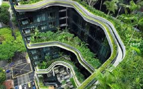 Khánh thành năm 2013, khách sạn Park Royal có tổng cộng 367 phòng. Đặc biệt, khách sạn có 15.000 m2 cây xanh, gấp đôi diện tích ở.