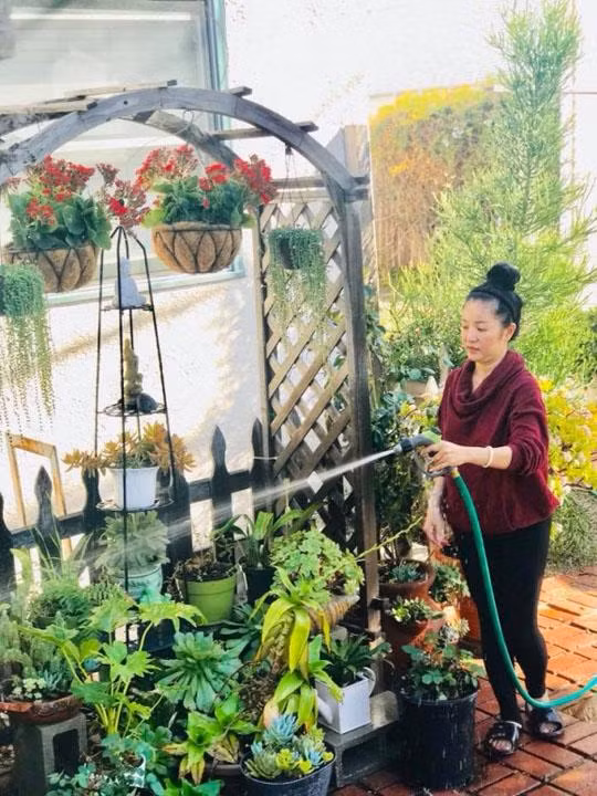 Thúy Nga trồng nhiều cây xanh và hoa cảnh trong sân vườn. Ảnh: Khám phá.