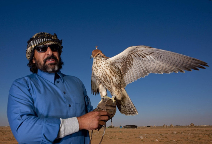 Chim ưng là một trong những thú chơi tốn kém của đại gia Trung Đông. Ảnh: Sina.