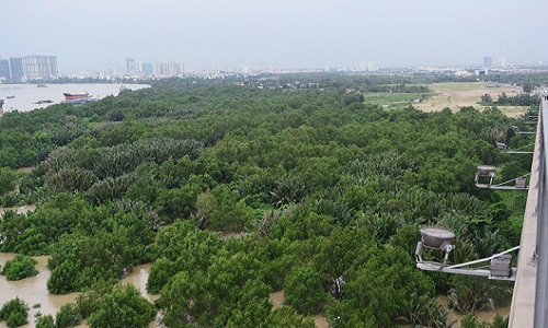 Dự án Khu dân cư tại phường Thạnh Mỹ Lợi, quận 2 có diện tích 120 ha đã được UBND TP.HCM quyết định thu hồi và giao đất cho Công ty đầu tư và Xây dựng Thanh niên xung phong cách đây hơn 14 năm, vào tháng 6/2004.