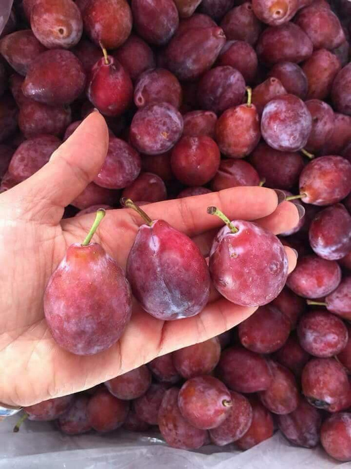 Xuất hiện tại nhiều cửa hàng trái cây nhập khẩu, mận nhót Úc, Mỹ trở thành mặt hàng hút khách Việt. Ảnh: FB Huyền Ngô.
