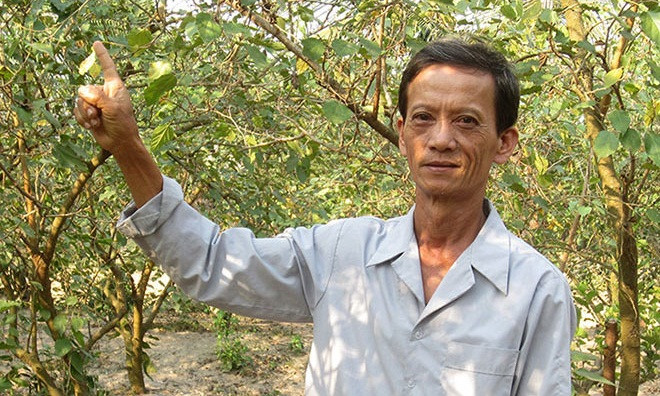 Ông Nguyễn Văn Thuận (ấp Bình Hòa 2, xã Mỹ Khánh, TP. Long Xuyên, tỉnh An Giang) cũng là người thành công với mô hình chuyển đổi cây lúa sang cây dâu tằm. Ảnh: Baoangiang.