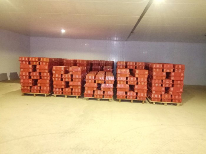 Với tỷ suất lợi nhuận rất cao, vượt xa các loại cây ăn trái khác, ớt được coi là "chiến binh" mới, góp phần tăng doanh thu cho tập đoàn của bầu Đức.