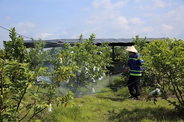 Đến năm 2003, với những nổ lực cải tạo giảm thiểu ô nhiễm của công ty, bãi chôn lấp rác Đông Thạnh đã được chứng nhận hoàn thành xử lý ô nhiễm theo Quyết định 64/2003/QĐ-Ttg của Thủ Tướng Chính Phủ