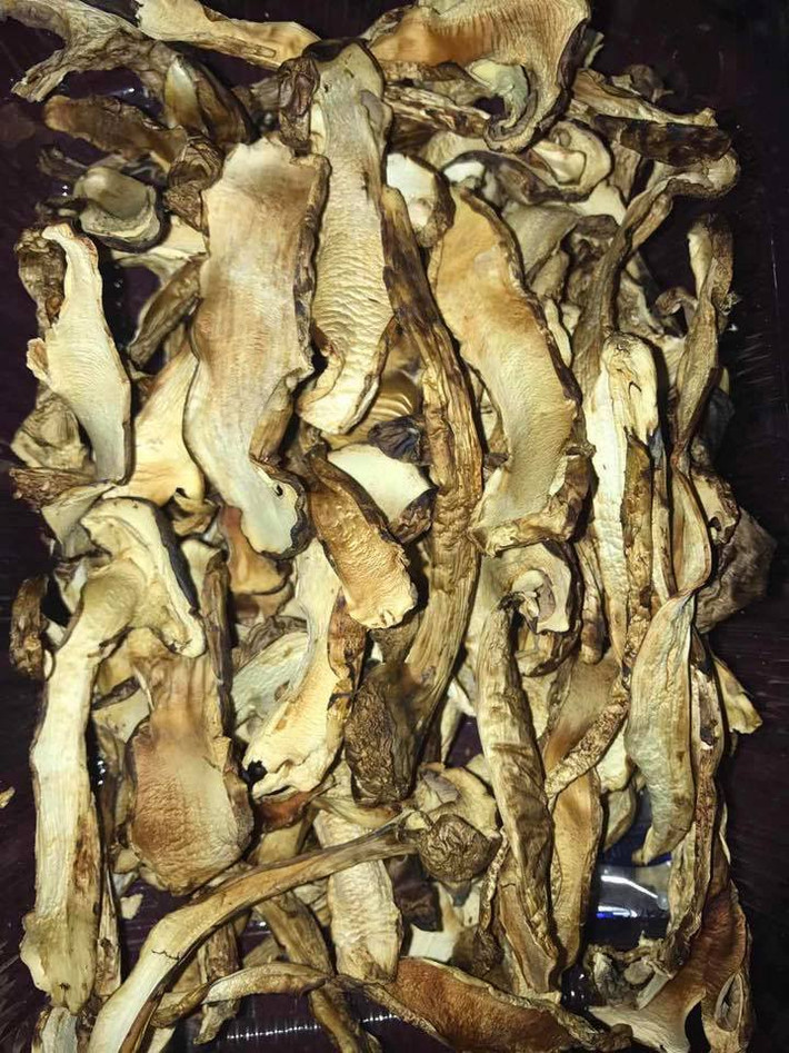 Ngoài nấm tươi, trên thị trường còn có nấm Tùng nhung khô. Tuy nhiên, loại nấm khô hàng dồi dào hơn, giá dao động từ 35-40 triệu đồng/kg. Ảnh: FB Tuấn Lê.