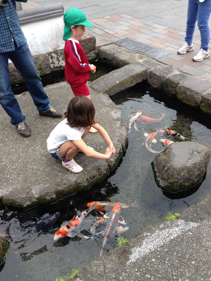 Bên cạnh đó, việc nuôi và chăm sóc cá koi cũng tốn khá nhiều công sức. Ảnh: Tour Nagasaki.
