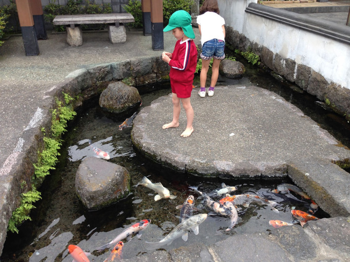 Thành phố Shimabara (tỉnh Nagasaki, Nhật Bản) thu hút nhiều khách du lịch bởi nhiều đàn cá koi bơi lội dưới những rãnh nước trong vắt. Ảnh: Tour Nagasaki Japan.