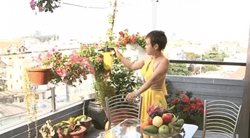 Nữ danh hài đắt show nhất hiện nay, Việt Hương sở hữu hai ngôi nhà sang trọng tại Mỹ và Việt Nam. Ở TP HCM, dinh cơ của nghệ sĩ hài Việt Hương là ngôi nhà 5 tầng tràn ngập cây xanh. Ảnh: Vietnamnet.