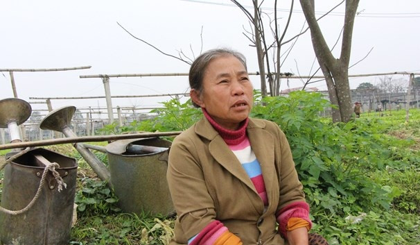 Một bó rau cải chỉ có giá 200 đồng, nhiều lúc bán không ai mua, phải chở về. Ảnh: Baonghean.