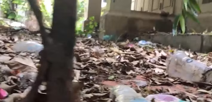 Sân nhà ngập lá khô. Ảnh: Cắt video của Zing.