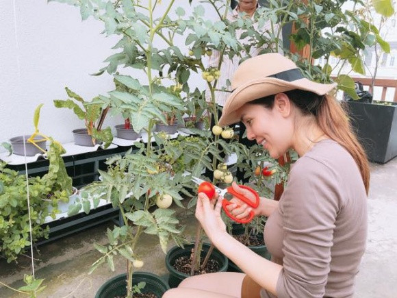 Phương Lê trồng nhiều rau và trái cây như cà chua, rau muống, cải xanh, mướp...Ảnh: NLd.
