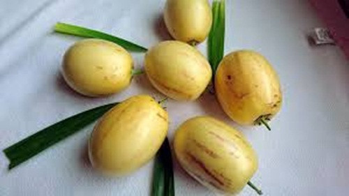 Đặc biệt, dưa hấu tý hon có vị ngọt thanh nhẹ, mùi thơm đậm hấp dẫn. Ảnh: Kokotaru.