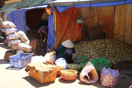 Theo nguồn tin trên báo Người lao động, vấn nạn nhức nhối nhất hiện nay là việc các tư thương đem đất ở Đà Lạt đi các tỉnh, thành khác ngoài tỉnh Lâm Đồng để trộn với nông sản Trung Quốc rồi làm giả nhãn mác Đà Lạt. Ảnh: Nld.