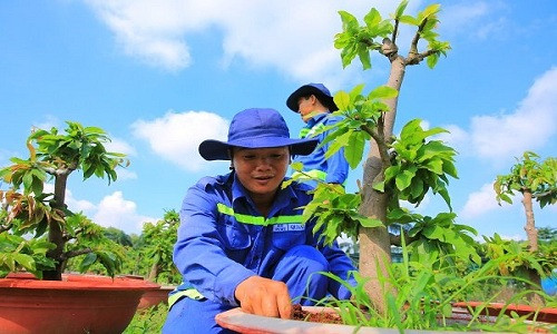 Bãi chôn lấp rác Đông Thạnh với diện tích 40,4 ha trước năm 2002 thuộc Công ty xử lý chất thải TPHCM quản lý và thực hiện. Theo đó, toàn bộ rác thải được xử lý bằng cách chôn lấp tự nhiên, không có lớp lót chống thấm. Đến năm 2002, bãi chôn lấp rác này ngưng tiếp nhận rác và chuyển giao về cho Công ty Môi trường Đô thị. Theo đó, trách nhiệm của công ty tại thời điểm được chuyển giao là xây dựng và thực hiện giải pháp nhằm giảm thiểu ô nhiễm môi trường cho bãi chôn lấp rác Đông Thạnh.