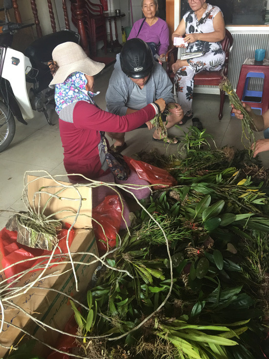 Khách mua vô tư trả giá, thích thì mua theo kg, không thích thì mua theo bó. Ảnh: Vietnamnet.