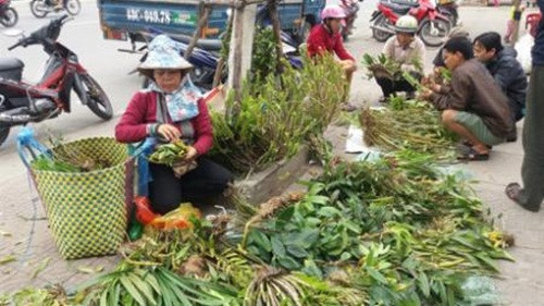 Một điều thú vị khiến chợ lan ở đây hút khách là chợ bán lan rừng còn rất tự nhiên chứ không như các loại hoa lan đã được nhà vườn chăm sóc, trồng riêng rẽ từng chậu. Ảnh: Danang.