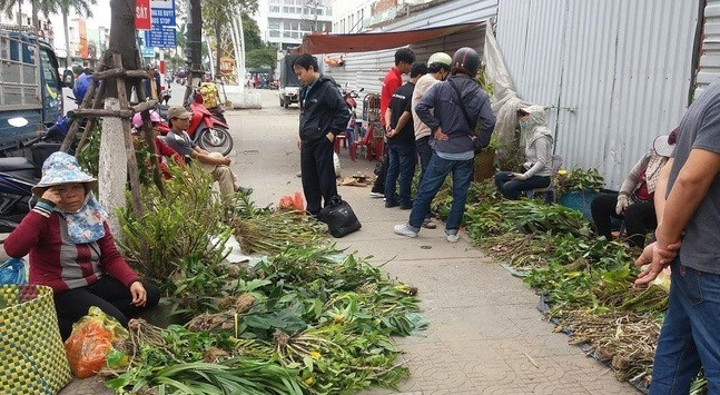 Các loại lan rừng được bày bán ở đây đều là sản vật được vận chuyển từ nhiều tỉnh miền núi xa xôi về như Kom Tum, Đắk Lắk, huyện Nam Giang, Tây Giang (tỉnh Quảng Nam). Ảnh: Em đẹp.