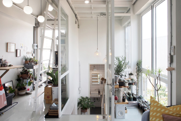 Trong nhà còn được trang trí bằng nhiều chậu cây cảnh.