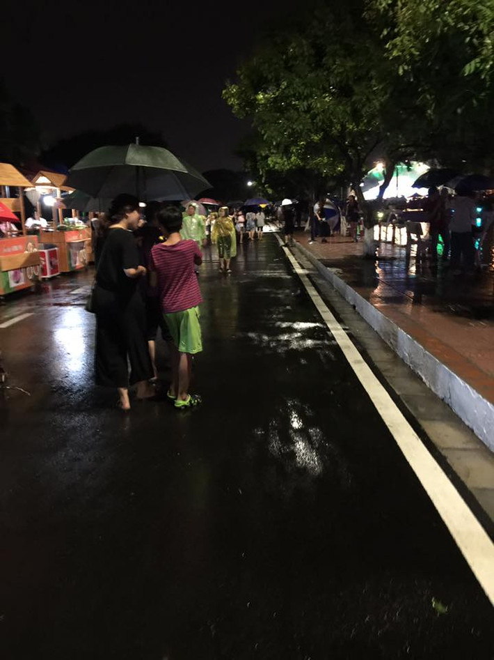 Phố Trịnh Công Sơn là con phố liền kề các đầm sen quanh khu vực hồ Tây, công viên nước Hồ Tây nên được kì vọng sẽ thu hút được nhiều du khách cũng như người dân đến vui chơi mỗi dịp cuối tuần.