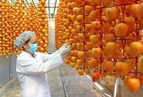 Quả hồng ngọt, dẻo uống cùng trà quả thực vô cùng xứng hợp. Bởi làm kì công nên giá cả của món hồng này không hề rẻ. Ở Việt Nam, một hộp hồng treo gió 15 quả có giá khoảng 1 triệu đồng.