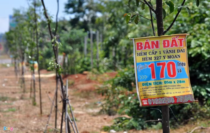 Một hộ dân treo biển bán đất nông nghiệp hẻm cấp 1 vành đai (hẻm 327 Y Moan) có diện tích 140 m2 với giá 170 triệu đồng.