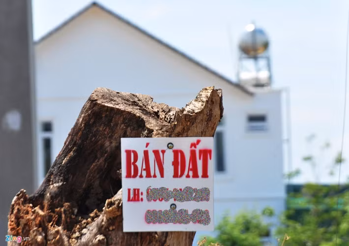 Theo ông Tuấn, do địa bàn phường rộng, đất nông nghiệp và đất ở nằm xen nhau dẫn đến công tác quản lý về hiện trạng đất đai gặp nhiều khó khăn.