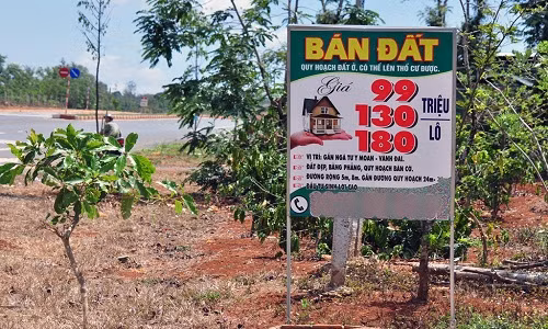 Ông Lê Anh Tuấn, Chủ tịch UBND phường Tân Lợi, cho biết việc người dân treo biển bán đất trên tuyến đường vành đai phía Tây TP Buôn Ma Thuột và Y Moan trước đây rất ít. Sau khi mở đường vành đai, nhu cầu người mua gia tăng nên rộ lên chuyện treo nhiều biển bán đất nông nghiệp dọc hai bên tuyến đường này.