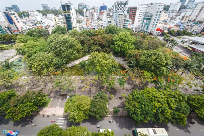 Trong tương lai, nếu sân khấu Sen Hồng được cải tạo lại cho phù hợp thì cả khu vực này sẽ tạo thành một khu phức hợp vui chơi, giải trí, mua sắm, công viên, đáp ứng tốt nhu cầu tham quan, vui chơi, không chỉ cho người dân Sài Gòn mà còn cả khách du lịch nước ngoài.