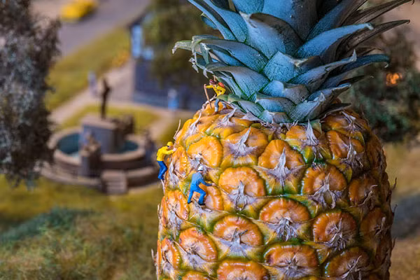 Peter chia sẻ nguồn cảm hứng giúp anh tạo nên bộ ảnh này rất tình cờ. Một ngày đi dạo trên đường, anh vô tình bắt gặp những bức tượng nhỏ ở một cửa hàng bán mô hình xe lửa. Từ đó, anh liên tục cho ra mắt những sản phẩm thế giới tí hon thú vị.