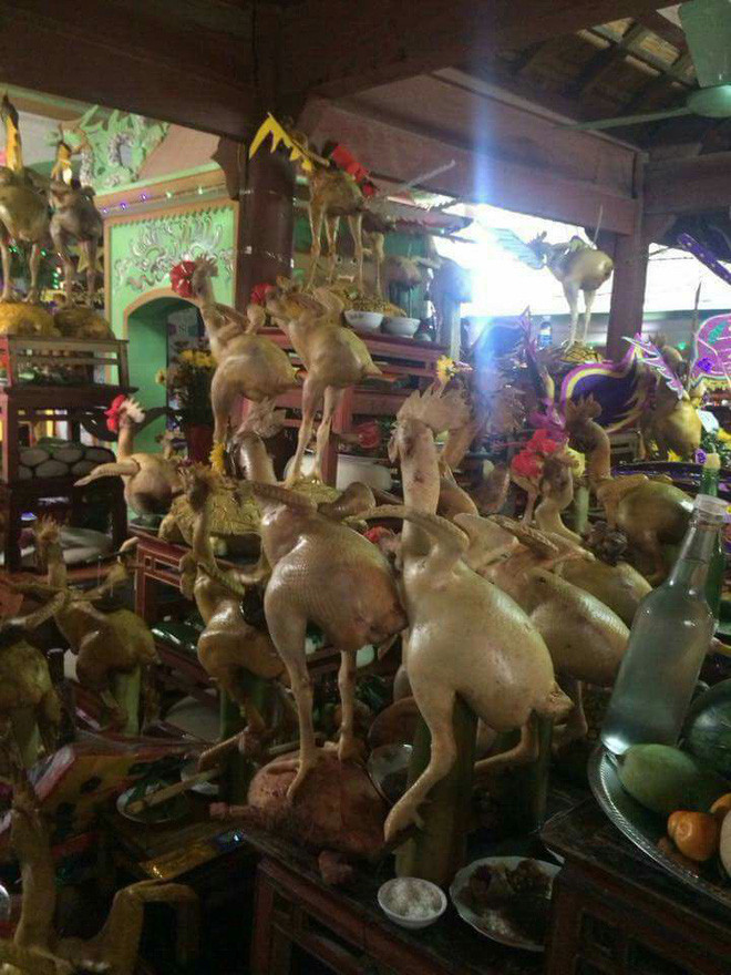 Chiêm ngưỡng những mâm cỗ trang trọng và những con gà luộc với thế "bay", "quỳ", "đứng" rất độc đáo và hiếm thấy này, bất cứ dân mạng nào cũng phải vỗ đùi thích thú và tự đặt câu hỏi "luộc sao cho được như vậy".