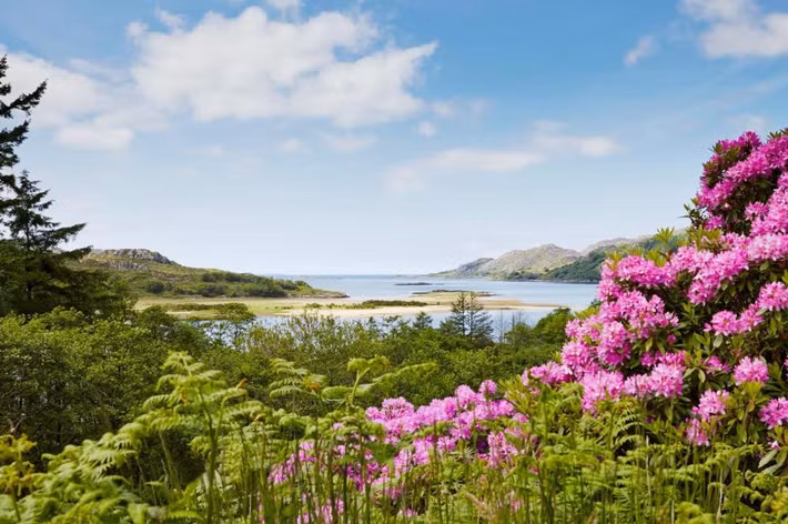 Neverland của Peter Pan: Eilean Shona, một đảo nhỏ ở bờ biển phía tây của Scotland, được cho là nguồn gốc của Neverland diệu kỳ. Địa điểm đặc biệt này là nơi JM Barrie, nhà viết kịch người Scotland nghỉ ngơi và viết kịch bản cho Peter Pan. Hiện nay, hòn đảo thuộc sở hữu của gia đình Devereux-Branson. Khi lang thang quanh hòn đảo này, du khách có thể tưởng tượng Jolly Roger của thuyền trưởng Hook thả neo trong những vịnh khổng lồ, những nàng tiên cá đang leo lên những tảng đá hay những nàng tiên đang bay trong khu rừng. Trên thực tế, dù không gặp những kỳ diệu như trong truyện, du khách vẫn có thể nhìn thấy nai đỏ, rái cá, cá heo, đại bàng biển và sóc đỏ. Ảnh: L Jones.