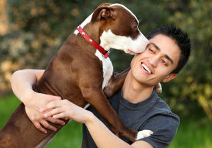 Ảnh minh họa. Nguồn: Internet. Ảnh minh họa. Nguồn: Internet.