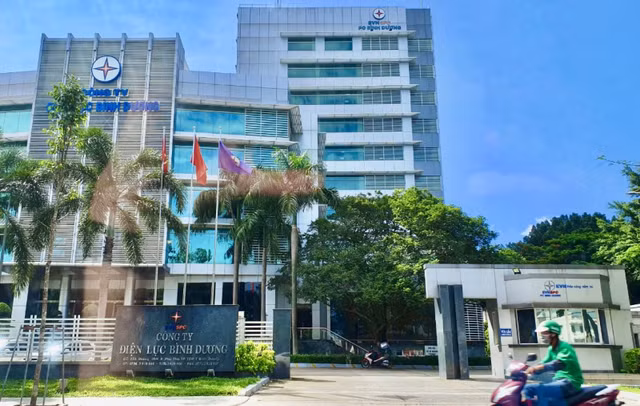 Dien luc Binh Duong cong bo goi thau mua sam xe o to hon 9 ty