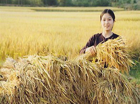 Ảnh minh họa. Nguồn: Internet. Ảnh minh họa. Nguồn: Internet.