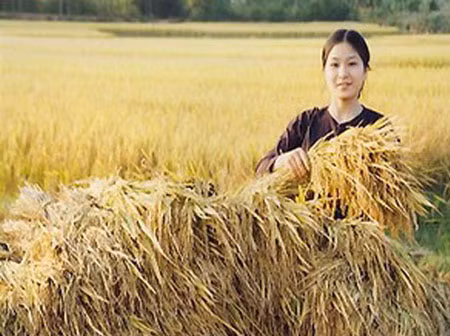 Ảnh minh họa. Nguồn: Internet.