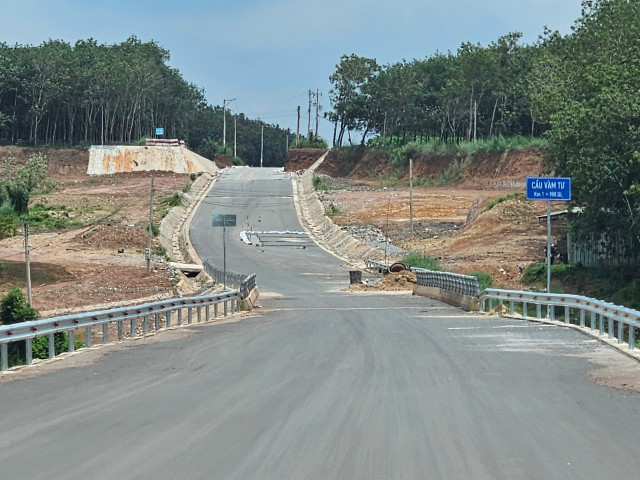 Binh Duong: Can canh du an xay dung duong va cau Vam Tu-Hinh-5