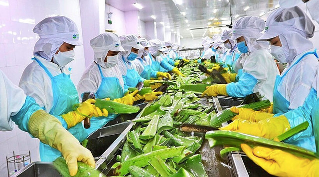 GCFood giải thể một công ty con, cổ đông lớn thoái vốn GCFood giai the mot cong ty con, co dong lon thoai von