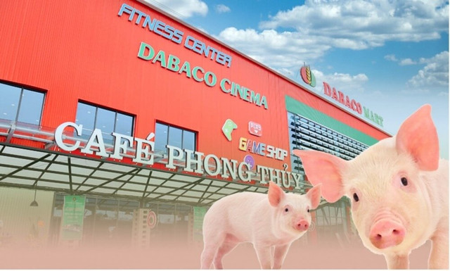 Lợi nhuận quý II 'bốc hơi' 56%, cổ phiếu DBC có phiên nằm sàn Loi nhuan quy II 'boc hoi' 56%, co phieu DBC co phien nam san